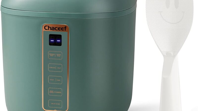 CHACEEF Mini Rice Cooker: The Perfect Companion for Small Families
