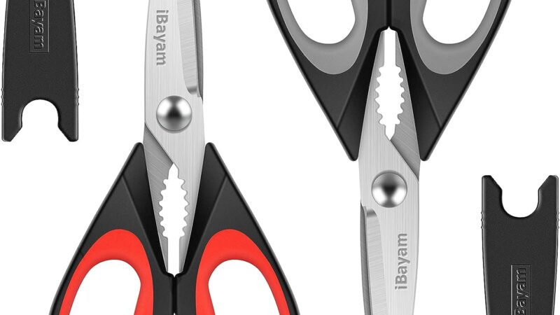 Review: iBayam Kitchen Shears – The Perfect All-Purpose Scissors